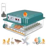 Brutmaschine vollautomatisch