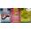 Bubble Gum Kaugummi Sticks von Cool