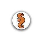 Seepferdchen-Abzeichen