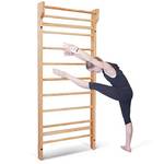 Costway Sprossenwand HW52648DE