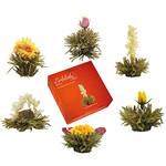 Creano Teeblumen-Mischung