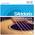 EJ16 von D'Addario