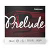 J1010 4/4M von D'Addario