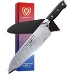 Dalstrong SS-Santoku