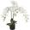 künstliche Orchidee von Decovego
