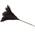 SW10022 von derstraussenprofi