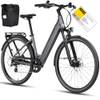 Quartz E-Bike von Deruiz