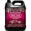 Snow Foam Shampoo von Dirtbusters