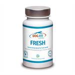 Dog Fit by Prethis 1050