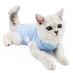 Dotoner Katzenbody