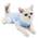 Katzenbody von Dotoner