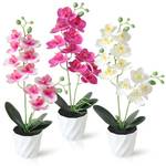 Dremisland Orchidee
