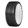Winter Sport 5 von Dunlop