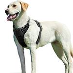 Eagloo Hundegeschirr mit Brustring