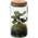 Tropical Weck Glas von Ecoworld