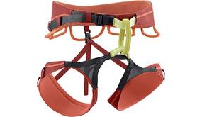 Edelrid-Klettergurt