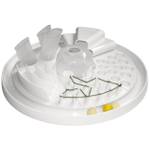 Intelligenzspielzeug-Katze