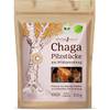 Chaga Pilz Brocken Bio von Effective Nature
