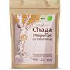 Chaga-Pilz von Effective Nature