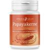 Papayakerne getrocknet von Effective Nature