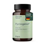 Effective Nature Pycnogenol Pinienrindenextrakt