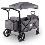 Bollerwagen mit Dach