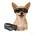 Hundebrille von Enjoying
