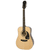 Epiphone DR-100 Akustikgitarre