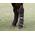 Eskadron Travelling Boots von Calevo