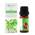 Bio Basilikum von Essences Bulgaria