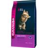 Kitten Healthy Start von Eukanuba