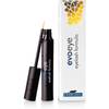 Eyelash Formula von evoeye