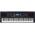 PSR-EW310 von Yamaha