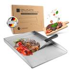 Exitoso Plancha-Grillplatte