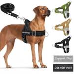 Eyein Hundegeschirr