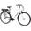 E-Moon E Bike von F.lli Schiano