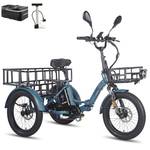 E-Bike Dreirad