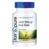 Braunalgen Kelp von Fair & Pure