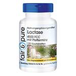 Fair & Pure Laktase-Tabletten