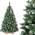 Weihnachtsbaum Kiefer von FairyTrees