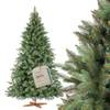 Nordmanntanne Premium von FairyTrees