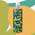 Jojoba-Shampoo von Faith in Nature