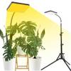 Pflanzenlampe von Fecida