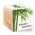 Riesenbambus von Feel Green