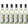 Pinot Grigio von Käfer