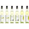 Weinpaket Weißwein von Käfer