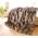 1700100 von Felldecken Wohnen & Accessoires