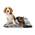 Heizdecke Hund von Fellou