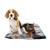 Fellou Heizdecke Hund