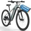 E-Bike Montis 2.2 Active von Fischer